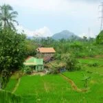 Volunteers in Java - Cianjur Indonésie