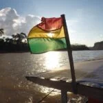 Jungle Amazonie survie