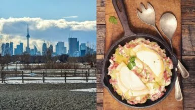Toronto vs Tartiflette : Discussion Explosive avec une Expatriée Française